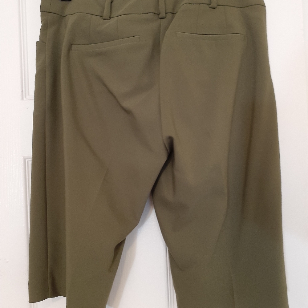 Shorts - Olive Green